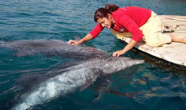 A dolphin trainer at the reef.