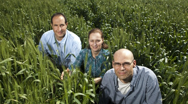The Morflora team in the field.