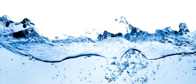 Clean water is the key. Image via Shutterstock.