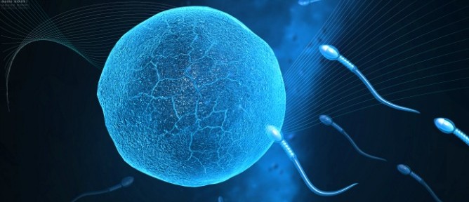 Testosterone therapy improved the sperm count and quality of an Israeli man suffering from infertility. Image via Shutterstock.com
