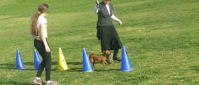 A Dogs for People guide shows a client how to do agility training.