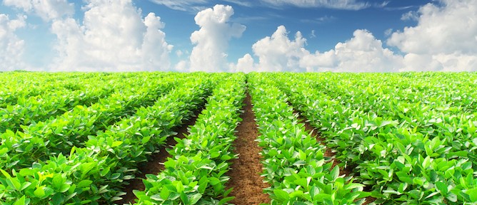 Taking the guesswork out of farming. Image via Shutterstock.com