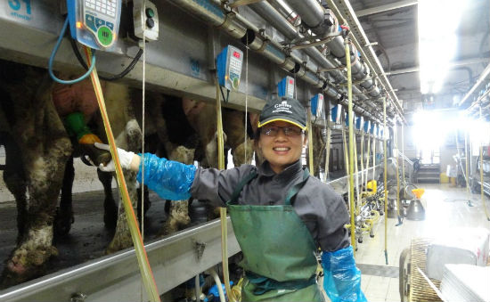 The Chinese are using Israeli systems to set up their dairy industry.