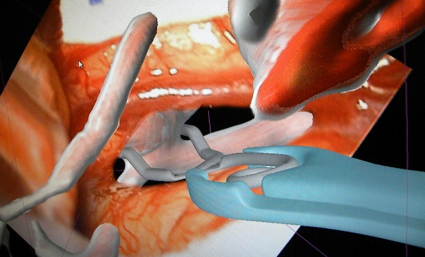 A patient’s medical images are turned into an interactive surgical training tool.