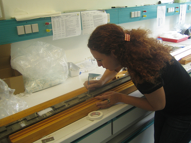 Dafna Langgut examining core samples from the Sea of Galilee