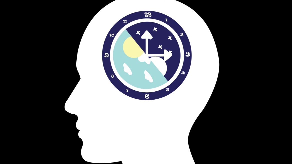 10 Things You Didnt Know About How Circadian Rhythm Affects - 